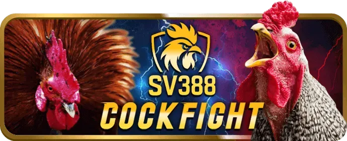 Điền thông tin đăng ký PBV88